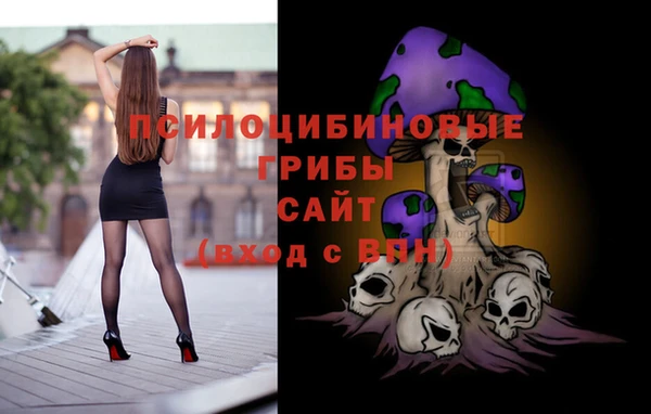 герыч Новозыбков