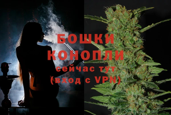 герыч Новозыбков