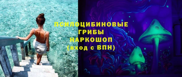 круглые Новодвинск