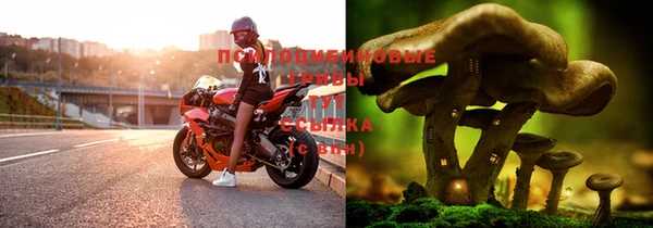 герыч Новозыбков