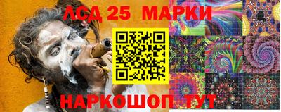 мяу мяу мука Кингисепп
