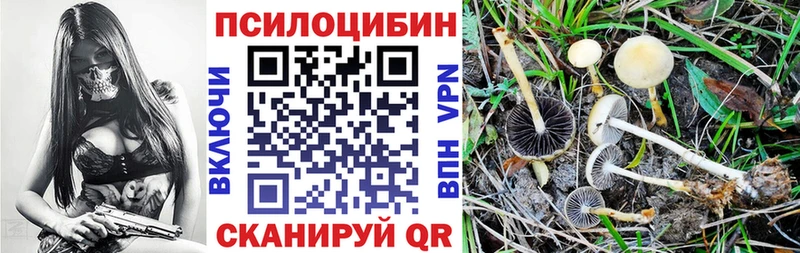kraken зеркало  Тверь  Псилоцибиновые грибы ЛСД  что такое  
