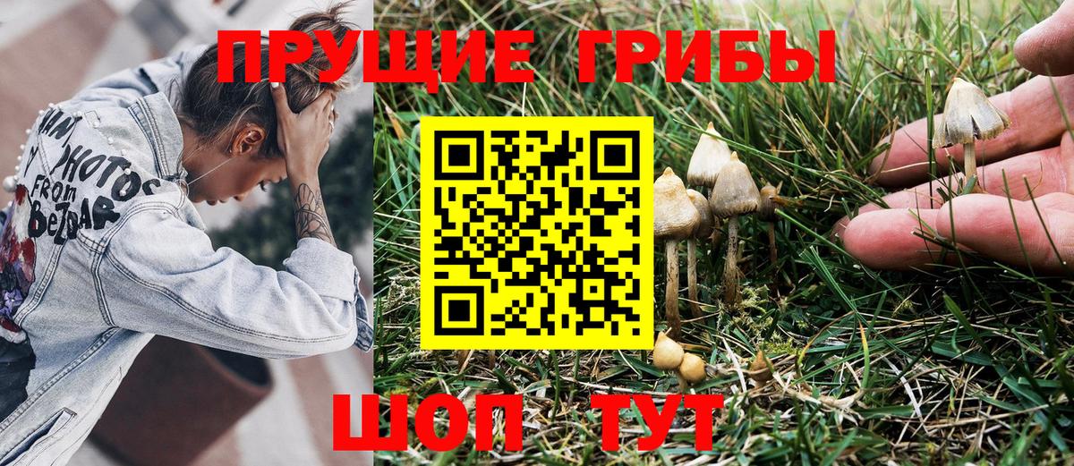 Галлюциногенные грибы ЛСД Тверь