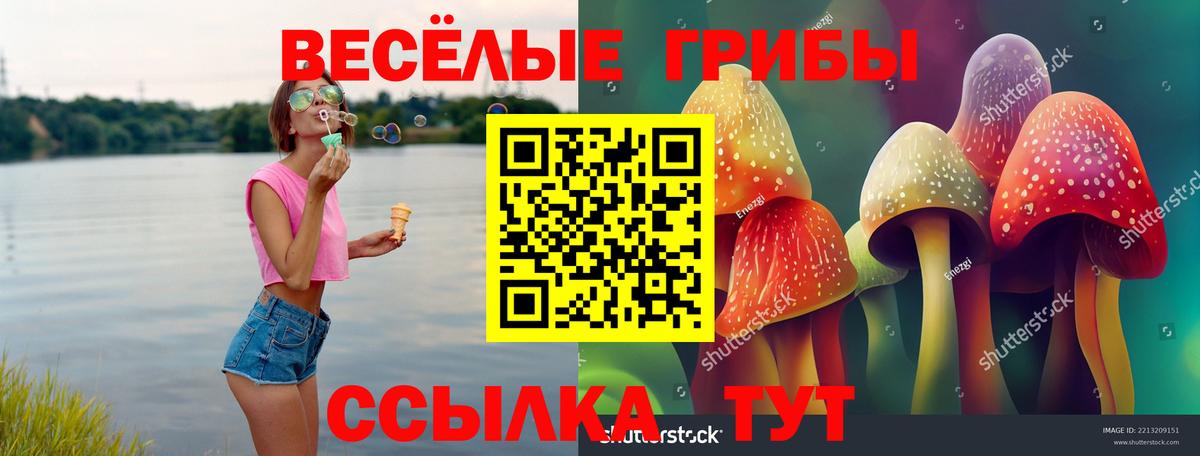 Псилоцибиновые грибы Psilocybine cubensis  Галлюциногенные грибы Cubensis  Вход с VPN  Тверь 